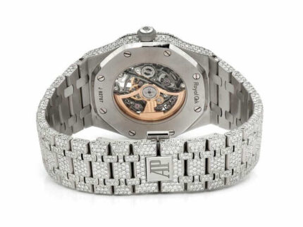 Ap Iced Out Back 1