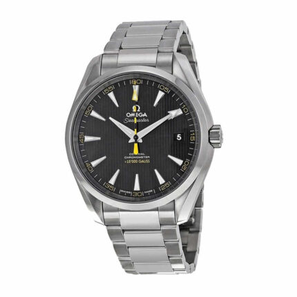 Omega 231 10 42 21 01 002 1