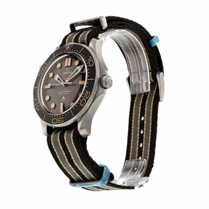 Omega Seamaster Co Axial Master Steel 1