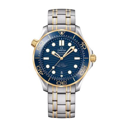 Omega Seamaster Diver 300m Master Co Axial Steel Gold 210 20 42 20 03 001 1